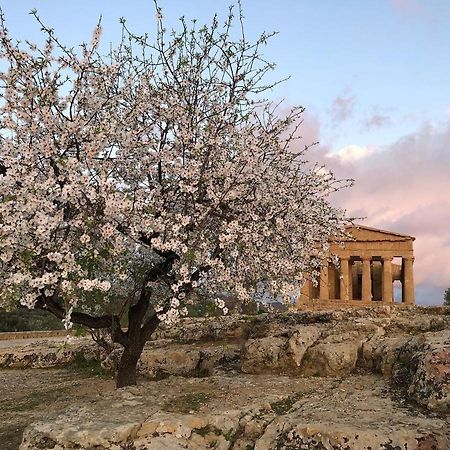 Alfa Quadro Panzió Agrigento Kültér fotó