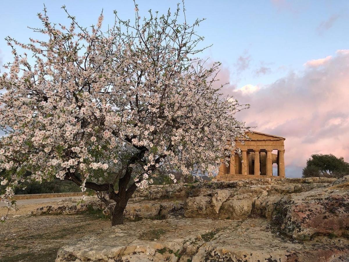 Alfa Quadro Panzió Agrigento Kültér fotó